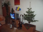 Jakubko_2005_12_25_002 * Postavili sme si stromcek * 2304 x 1728 * (1.39MB)