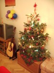 Jakubko_2005_12_25_008 * Stromcek svieti * 1728 x 2304 * (2.1MB)