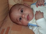 Jakubko_2006_03_02_001 * Kuk * 2304 x 1728 * (1.36MB)