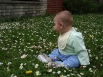 Jakubko_2006_05_27_003 * ...ted prave prostrenou... * 2048 x 1536 * (1.09MB)