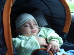Jakubko_2006_05_27_010 * Podvecerna siesta * 2048 x 1536 * (1.06MB)