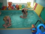 Plavanie_2006_05_13_006 * 2304 x 1728 * (1.38MB)